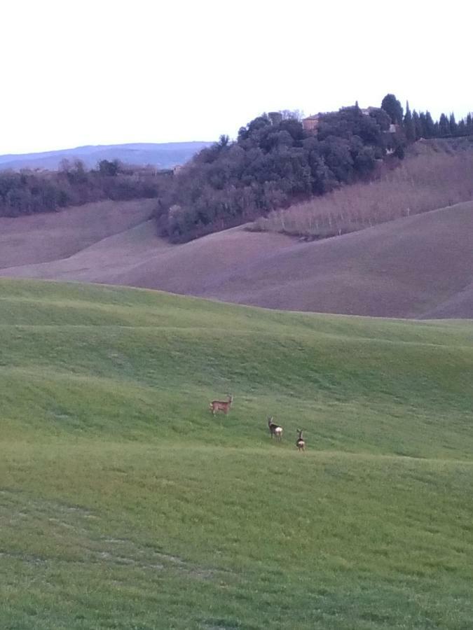 Appartamento Crete Senesi คาสเตลนูโอโว เบราร์เดนกา ภายนอก รูปภาพ